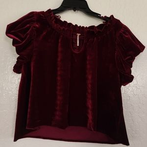 Free People Terese Velvet Top